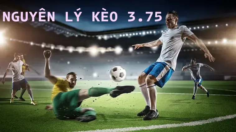Chiến Lược Đặt Cược Kèo 3.75 Mang Lại Cơ Hội Chiến Thắng Rực Rỡ Nhất