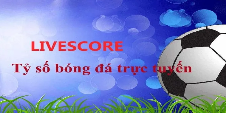 Cập Nhật Tỷ Số Bóng Đá Trực Tuyến Nhanh Chóng Chính Xác Nhất Hiện Nay