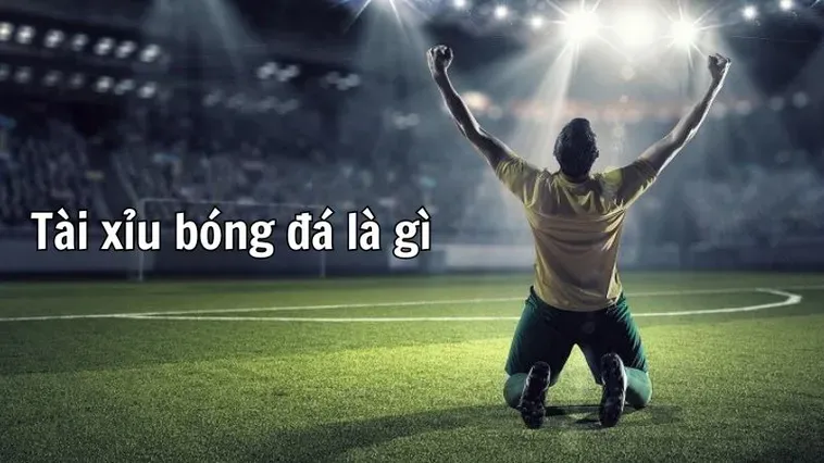 Hướng Dẫn Chi Tiết Cách Chơi Kèo Tài Xỉu Bóng Đá Dành Cho Mọi Người Chơi
