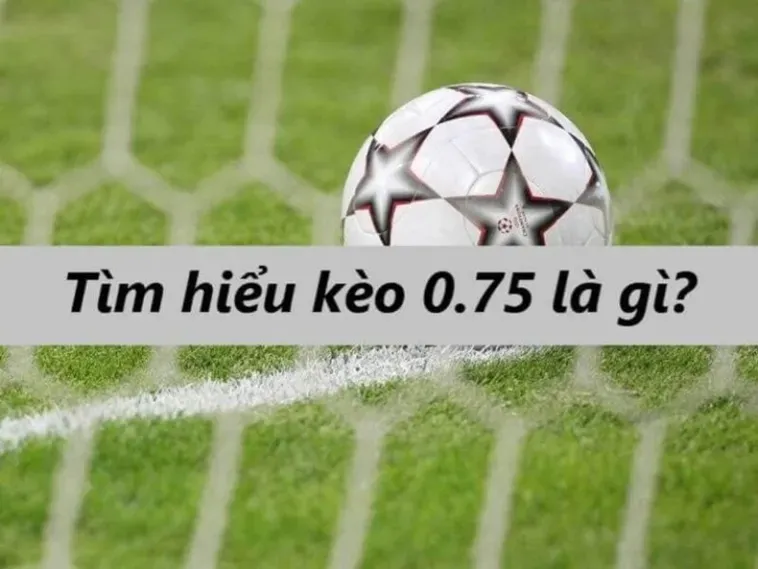 Tuyệt Chiêu Đánh Kèo Chấp 0.75 Giúp Người Chơi Tối Ưu Hóa Lợi Nhuận Thực Tế