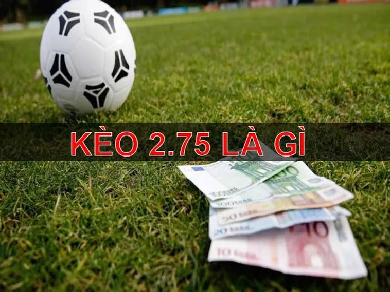 Bí Quyết Chinh Phục Kèo 2.75 Đem Lại Lợi Nhuận Khủng Cho Người Chơi Thể Thao