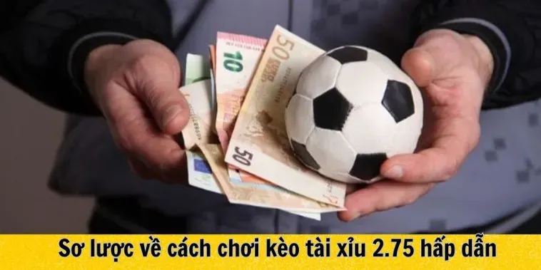 Bí Quyết Chinh Phục Kèo 2.75 Đem Lại Lợi Nhuận Khủng Cho Người Chơi Thể Thao