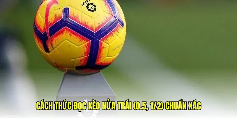 Hướng Dẫn Chi Tiết Cách Chơi Kèo Chấp 0.5 Hiệu Quả Cho Người Mới Bắt Đầu