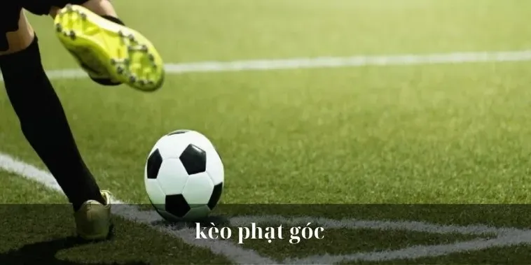 Những Chiến Thuật Đặt Cược Kèo Phạt Góc Bóng Đá Đỉnh Cao Cho Mọi Người