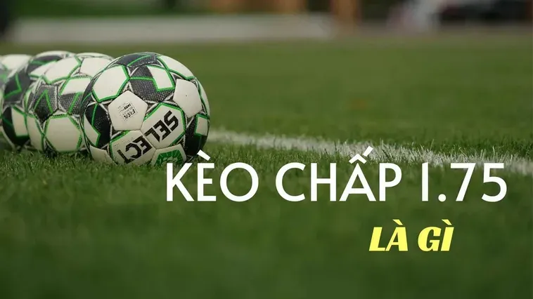 Hướng Dẫn Cách Chơi Kèo Chấp 1.75 Đầy Kịch Tính Cho Người Đam Mê Bóng Đá